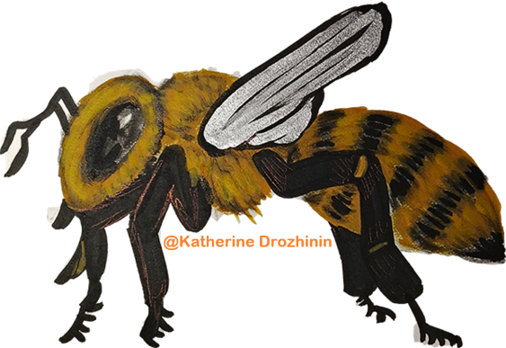 Hive Archive Beehive Inspection App